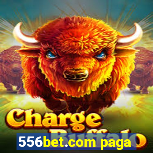 556bet.com paga